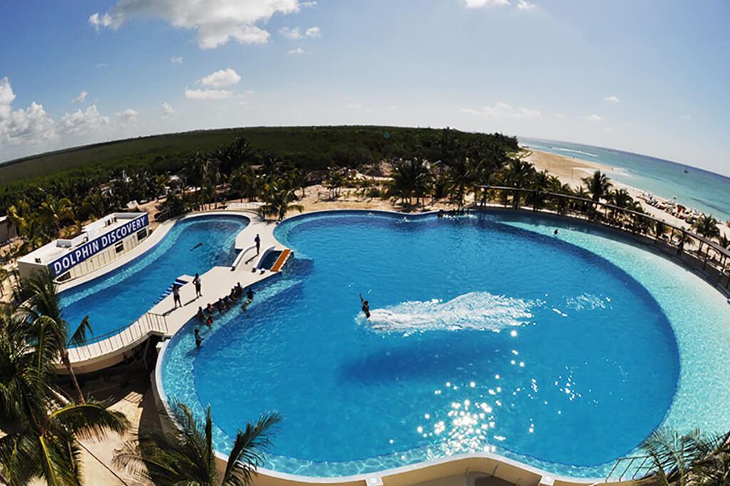 Dolphin Encounter in Playa del Carmen - Photo 6
