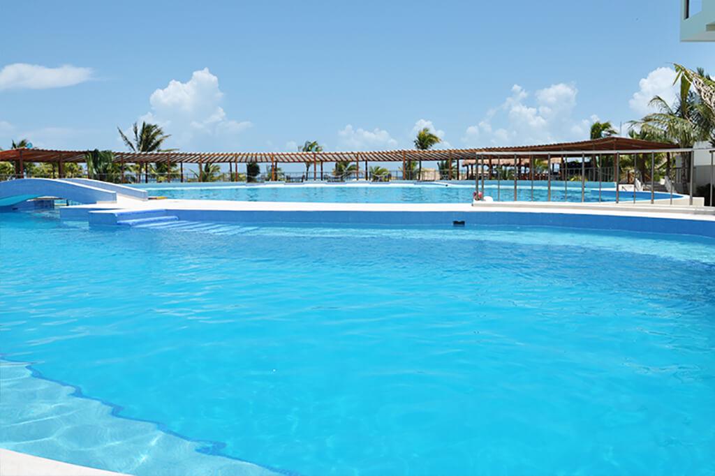 Dolphin Encounter in Playa del Carmen - Photo 7