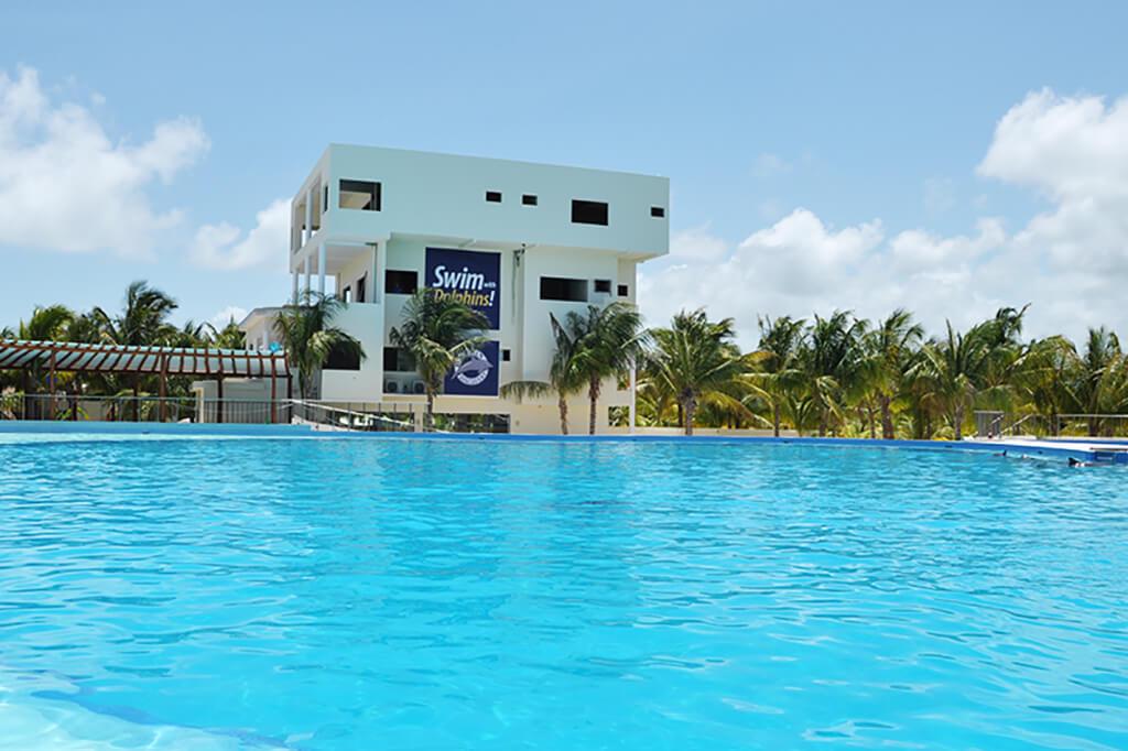 Dolphin Encounter in Playa del Carmen - Photo 8