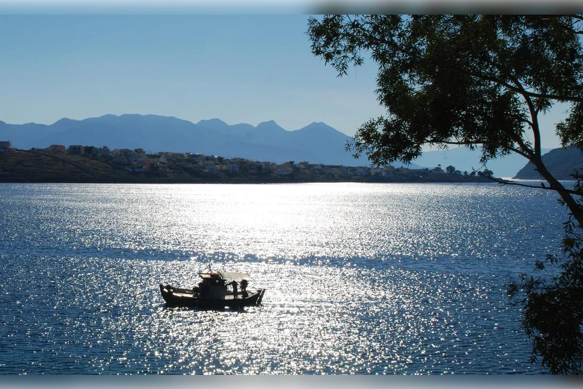 Cruzeiro de um dia por Poros, Hydra e Egina saindo de Atenas - Photo 14