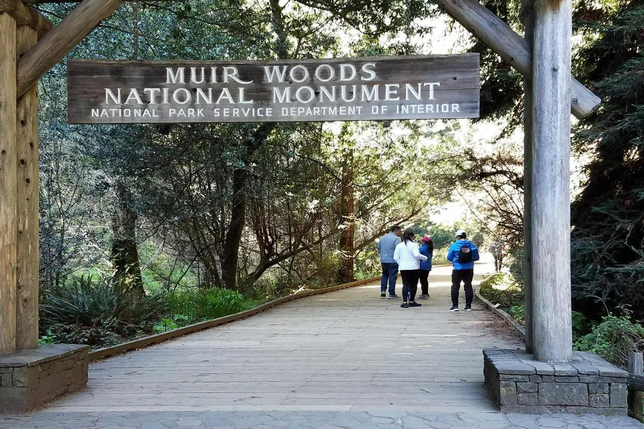 Bike Adventure: Golden Gate, Muir Woods, and Sausalito - Photo 6