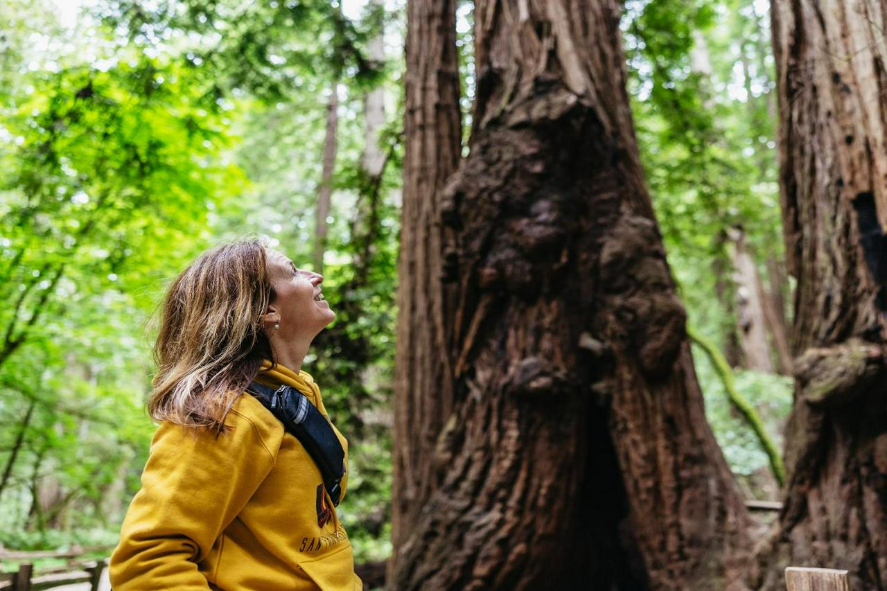 Bike Adventure: Golden Gate, Muir Woods, and Sausalito - Photo 7