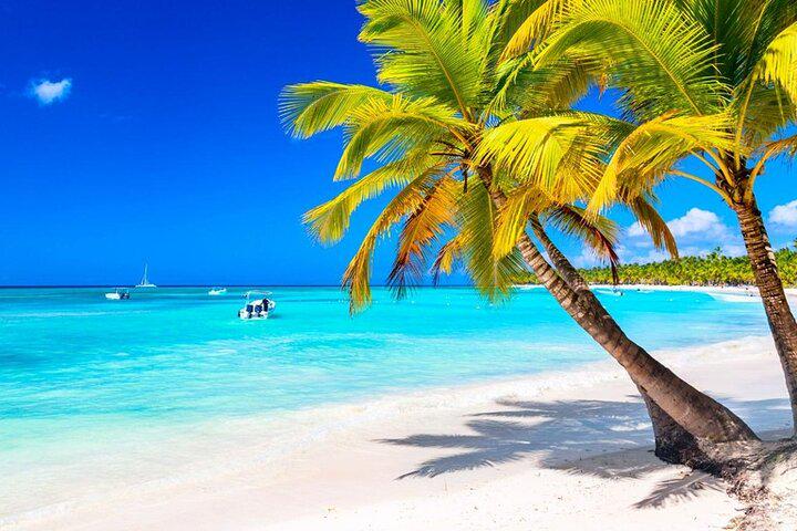 Bayahibe Catamaran: Saona Island Cruise with Lunch and Open Bar - Photo 10