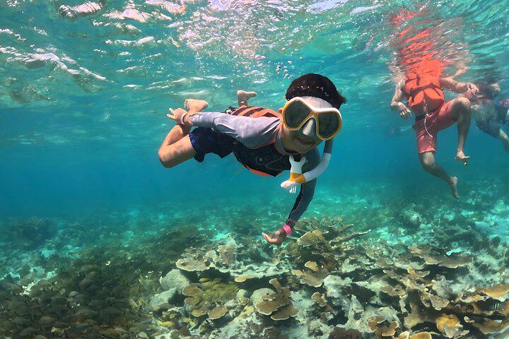 Punta Cana Catamaran Party with Snorkeling, Open Bar, Music and Pickup - Photo 9