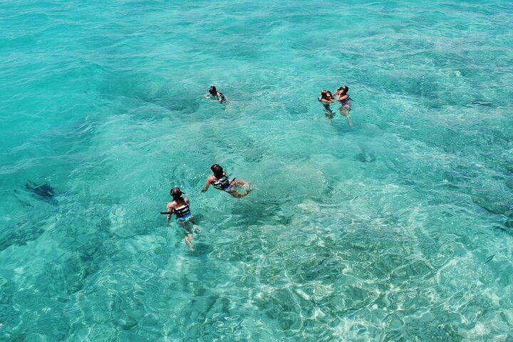 Punta Cana Catamaran Party with Snorkeling, Open Bar, Music and Pickup - Photo 10