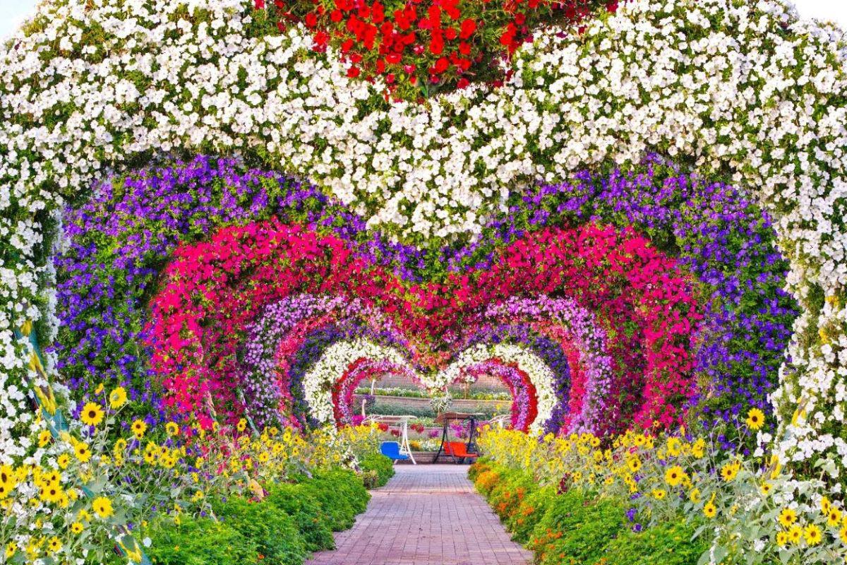 Visit Dubai Miracle Garden and Global Village with private transfers - Photo 3