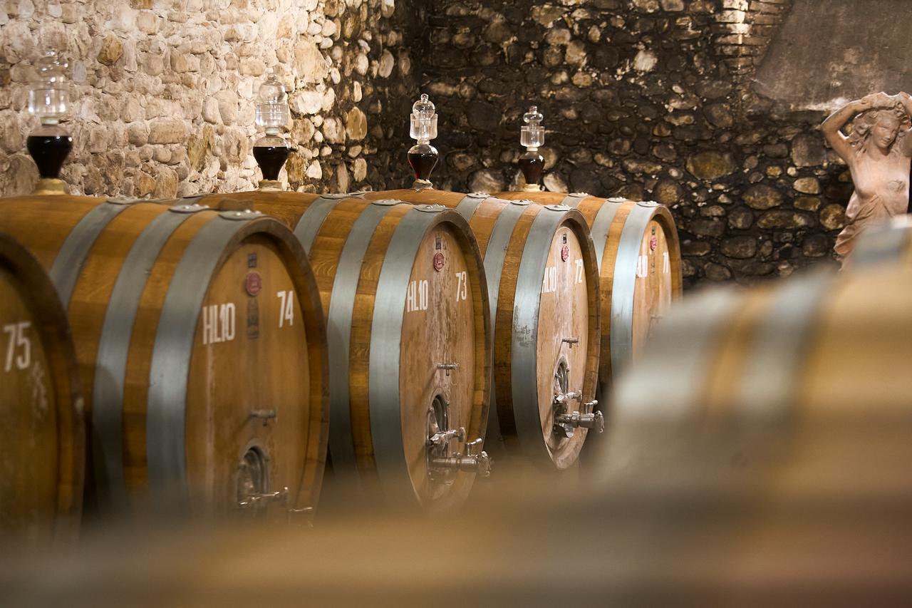 Tuscany Olive Oil and Wine Tasting Day Trip - Photo 4