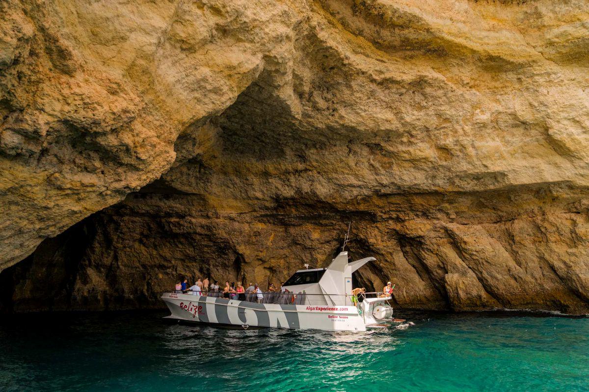 Golfinhos e Cavernas - Catamarã - Photo 5