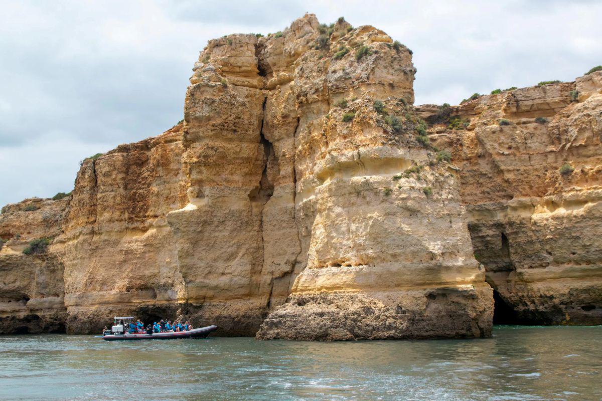 Golfinhos e Cavernas - Barco Rib - Photo 4
