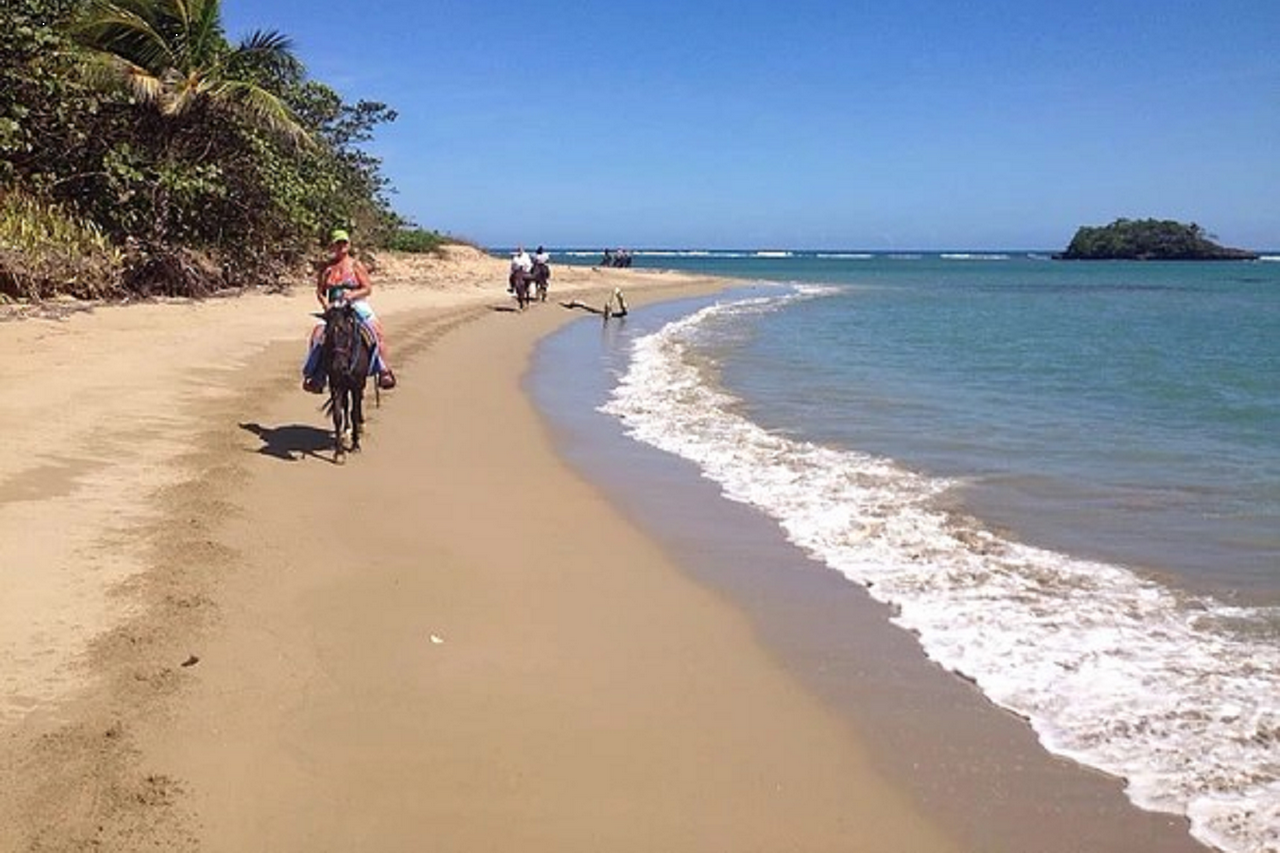 Horseback Riding in Punta Cana 1 hour - Photo 2
