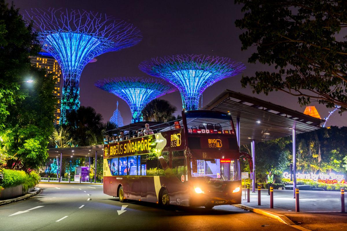 Singapore Night Tour - Photo 3
