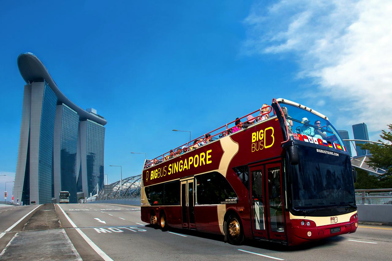 Excursão de 2 dias em ônibus panorâmico Big Bus em Singapura com passeio noturno - Photo 4