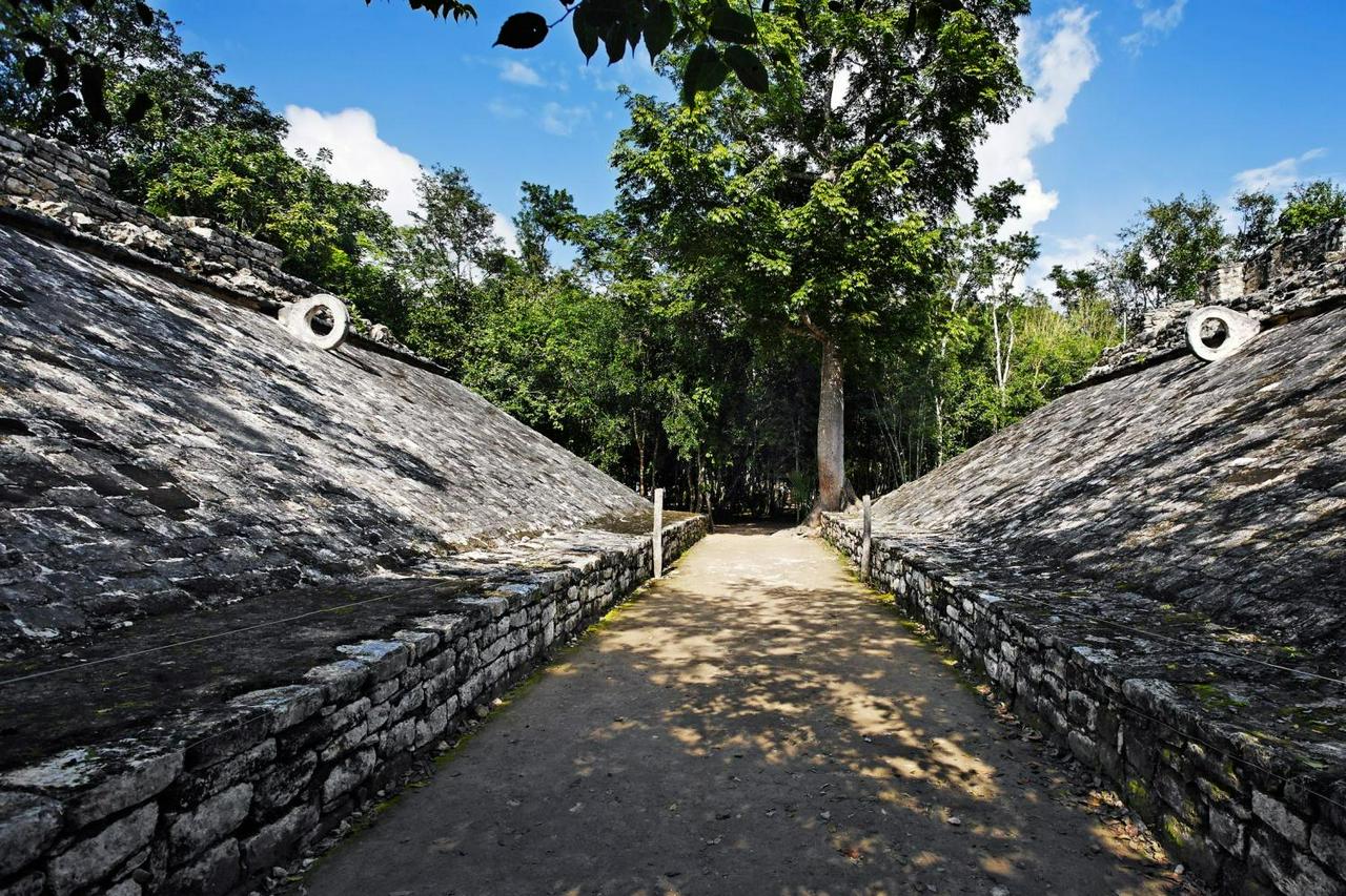 Day Tour: Tulum, Coba Mayan Ruins with Cenote Swim and Buffet Lunch - Photo 6