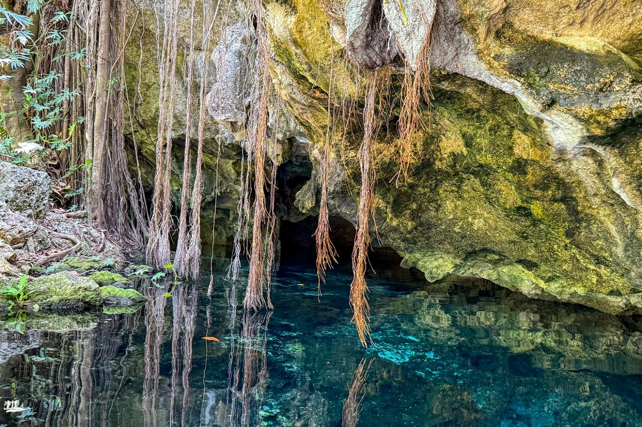 Day Tour: Tulum, Coba Mayan Ruins with Cenote Swim and Buffet Lunch - Photo 8
