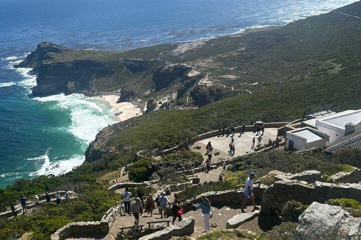 Table Mountain, Penguins, and Cape Point Small Group Tour - Photo 3