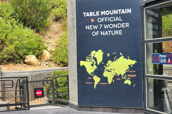 Table Mountain, Penguins, and Cape Point Small Group Tour - Photo 5