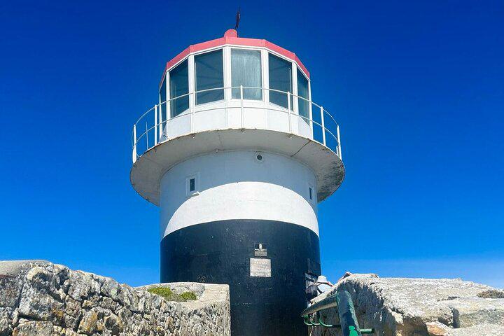Table Mountain, Penguins, and Cape Point Small Group Tour - Photo 6