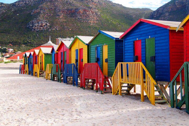 Table Mountain, Penguins, and Cape Point Small Group Tour - Photo 8