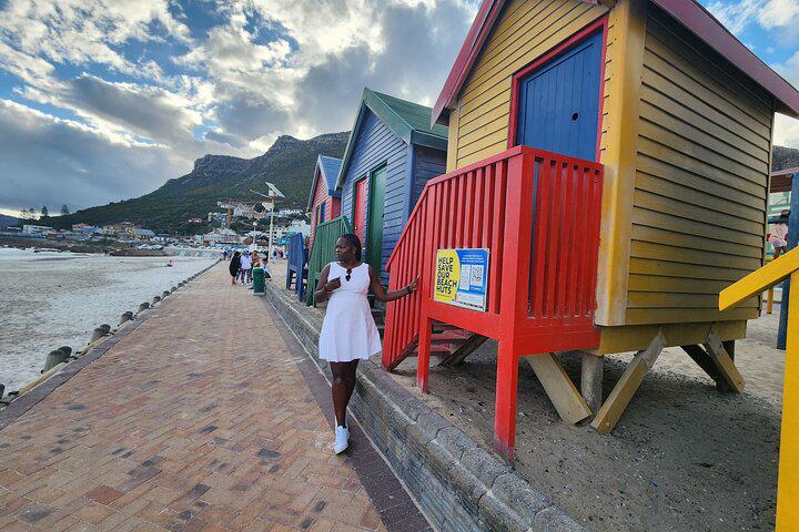 Table Mountain, Penguins, and Cape Point Small Group Tour - Photo 9