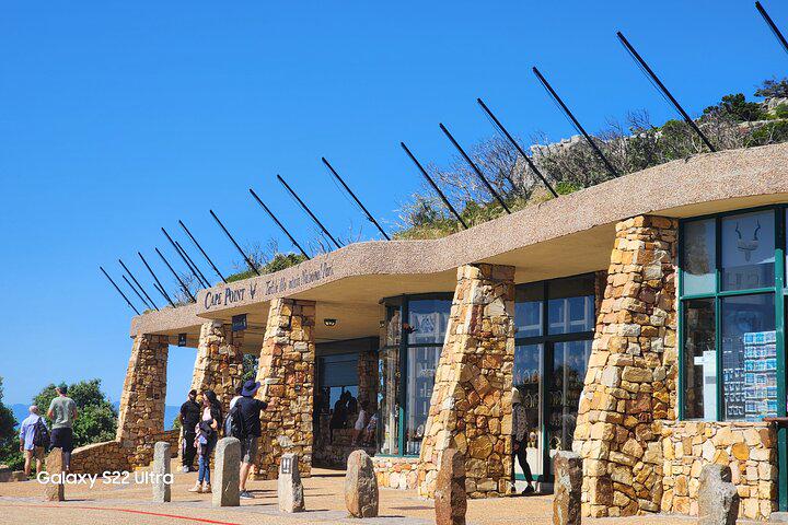 Table Mountain, Penguins, and Cape Point Small Group Tour - Photo 13