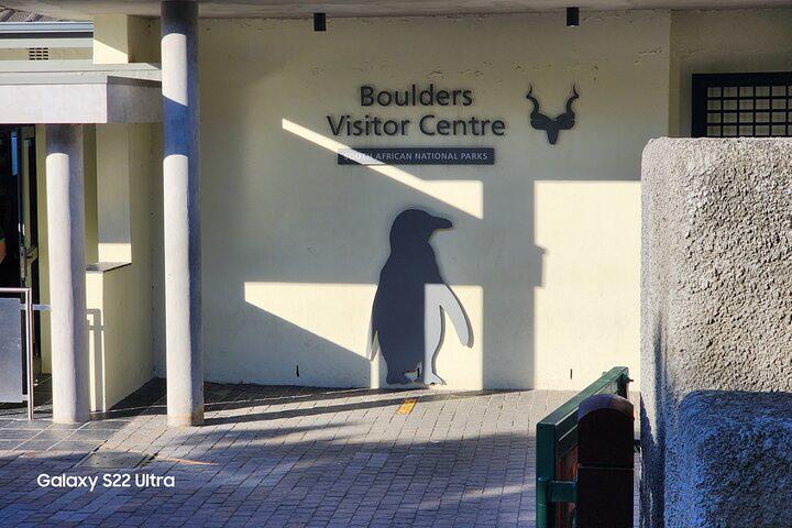 Table Mountain, Penguins, and Cape Point Small Group Tour - Photo 14