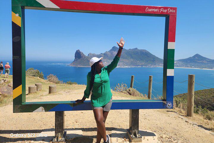 Table Mountain, Penguins, and Cape Point Small Group Tour - Photo 16