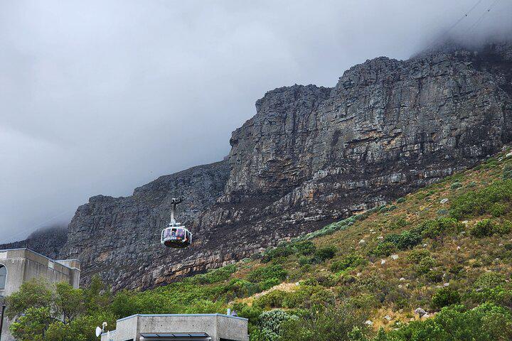 Table Mountain, Penguins, and Cape Point Small Group Tour - Photo 20