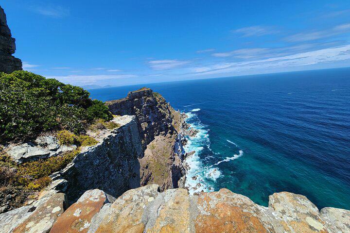 Table Mountain, Penguins, and Cape Point Small Group Tour - Photo 21