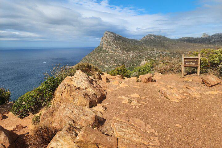 Table Mountain, Penguins, and Cape Point Small Group Tour - Photo 24