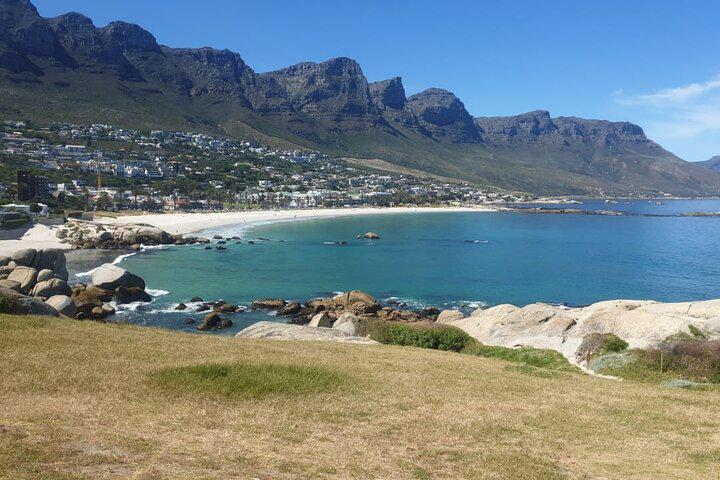 Table Mountain, Penguins, and Cape Point Small Group Tour - Photo 25