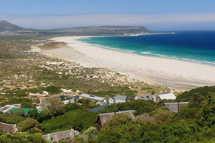 Table Mountain, Penguins, and Cape Point Small Group Tour - Photo 26