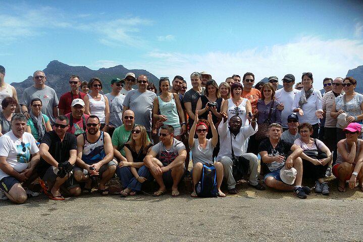 Table Mountain, Penguins, and Cape Point Small Group Tour - Photo 27