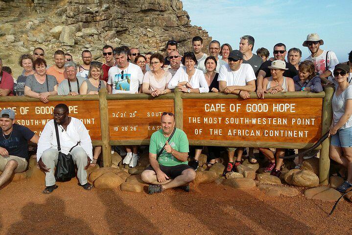 Table Mountain, Penguins, and Cape Point Small Group Tour - Photo 28
