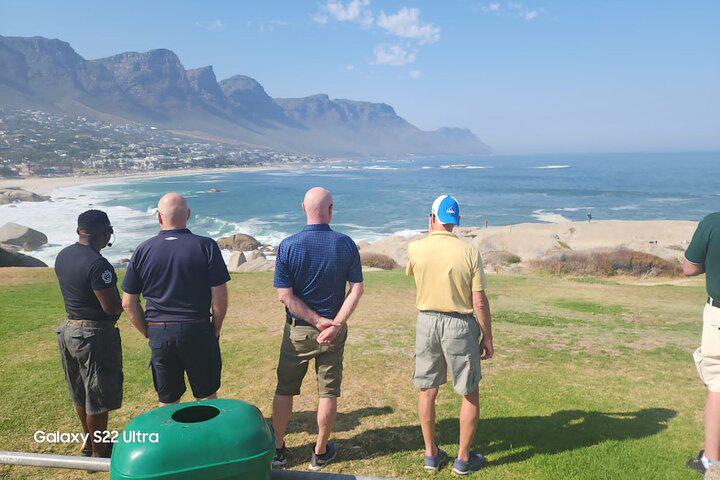 Table Mountain, Penguins, and Cape Point Small Group Tour - Photo 31