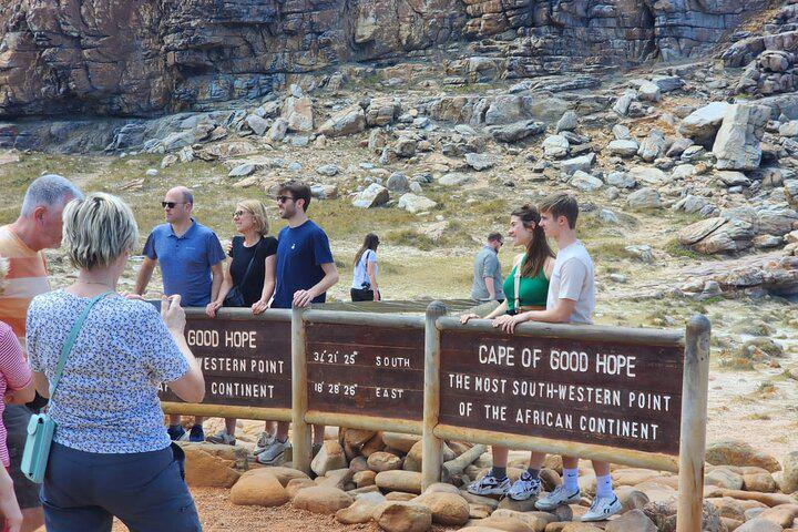 Table Mountain, Penguins, and Cape Point Small Group Tour - Photo 35