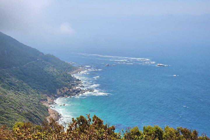 Table Mountain, Penguins, and Cape Point Small Group Tour - Photo 36