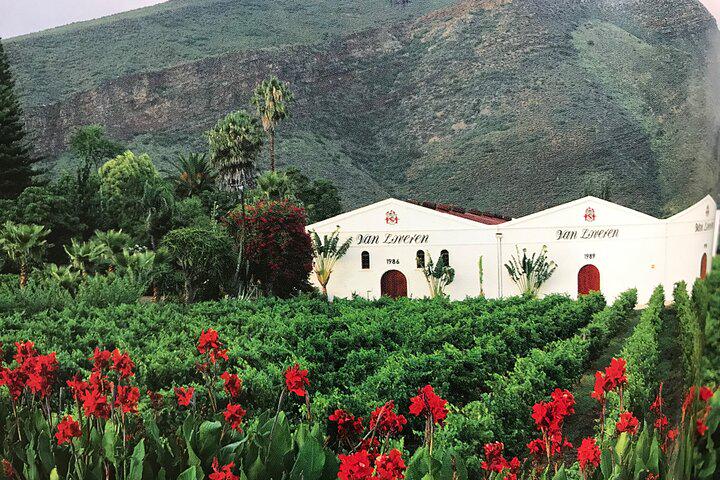 Private Wine Tasting and Historical Tour of South African Culture - Photo 6