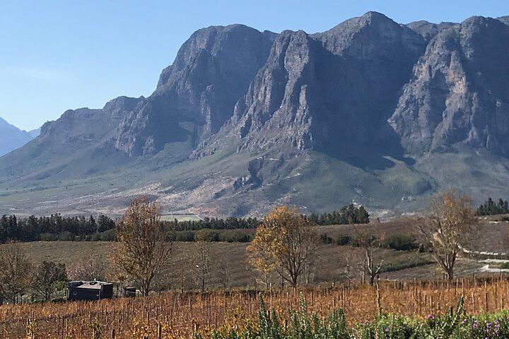 Private Wine Tasting and Historical Tour of South African Culture - Photo 9
