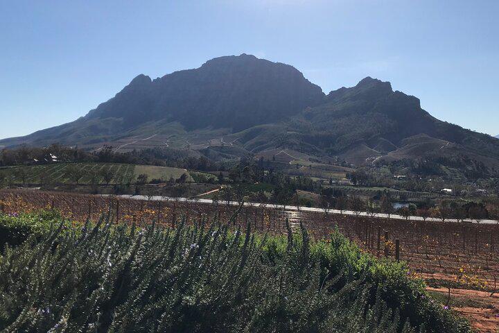 Private Wine Tasting and Historical Tour of South African Culture - Photo 11