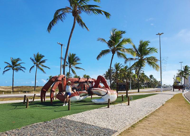  COMBO: ROUND TRIP TRANSFER - AIRPORT + CITY TOUR + BEACH IN ARACAJU (HOTELS ON THE SEASIDE)  - Photo 5
