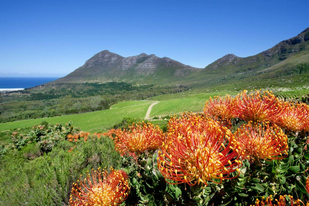 Magical Private Bike Tour - In Cape Town  - Photo 3