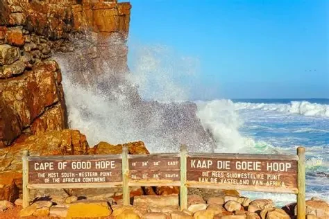 Tour pelo Cabo da Boa Esperança - Photo 2