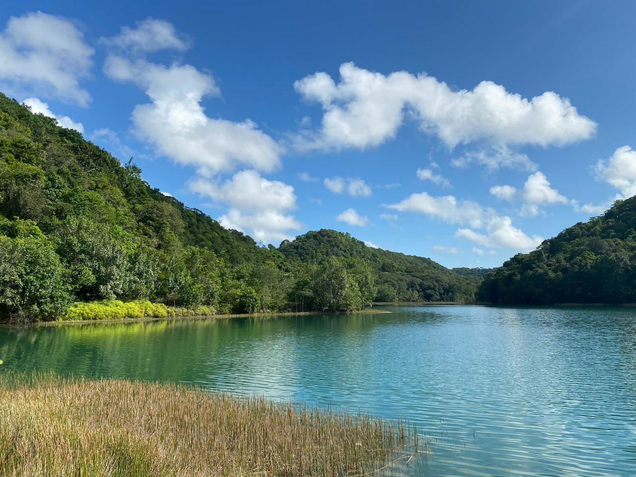 Fernão Velho – Catolé Environmental Protection Area – Maceió - Photo 2