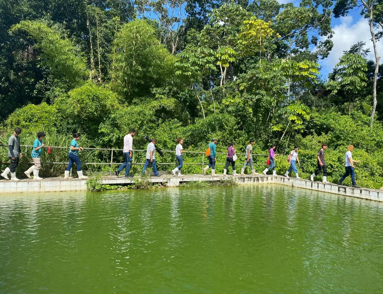 Fernão Velho – Catolé Environmental Protection Area – Maceió - Photo 3