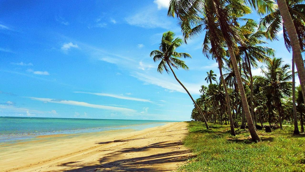 Maragogi: Discover the Brazilian Caribbean - Photo 4