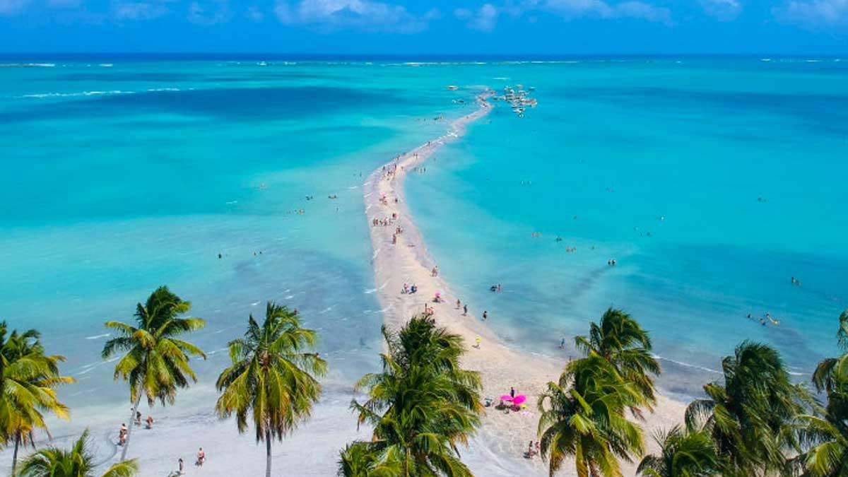 Maragogi: Discover the Brazilian Caribbean - Photo 5