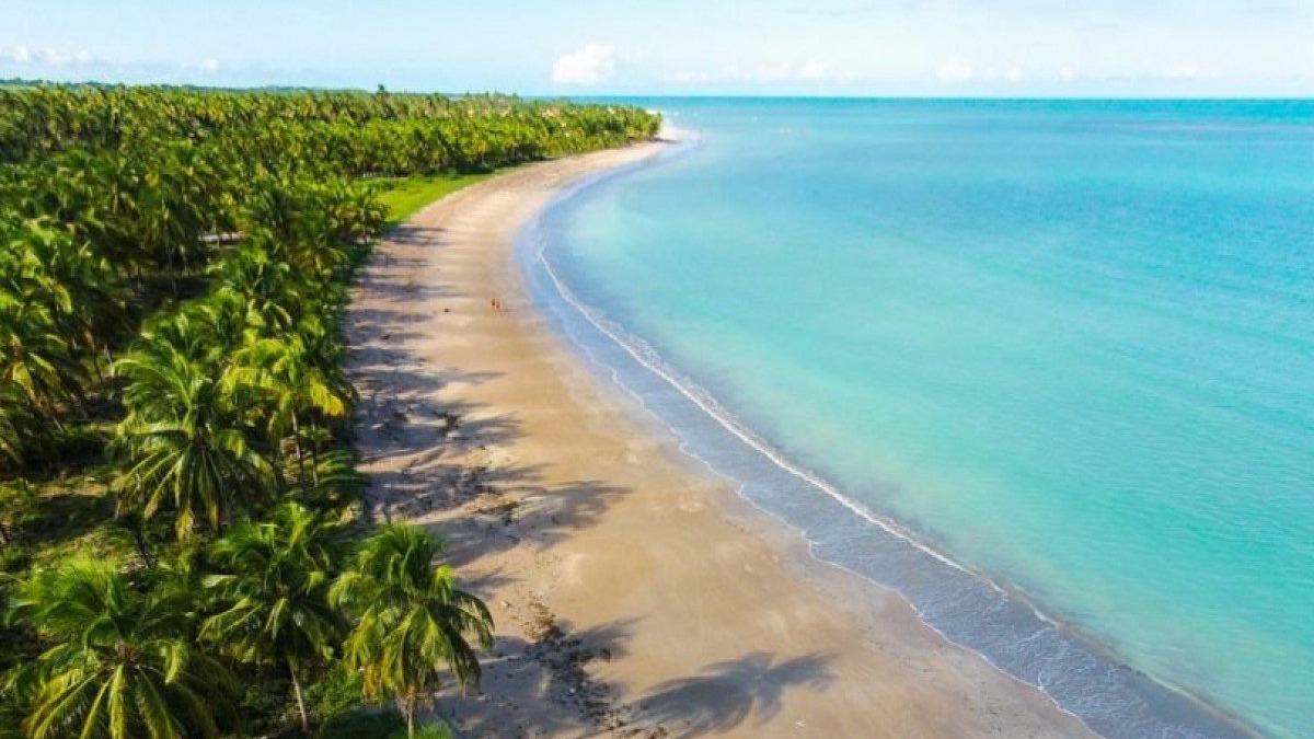 Maceió: Aproveite a Praia de Ipioca - Photo 3