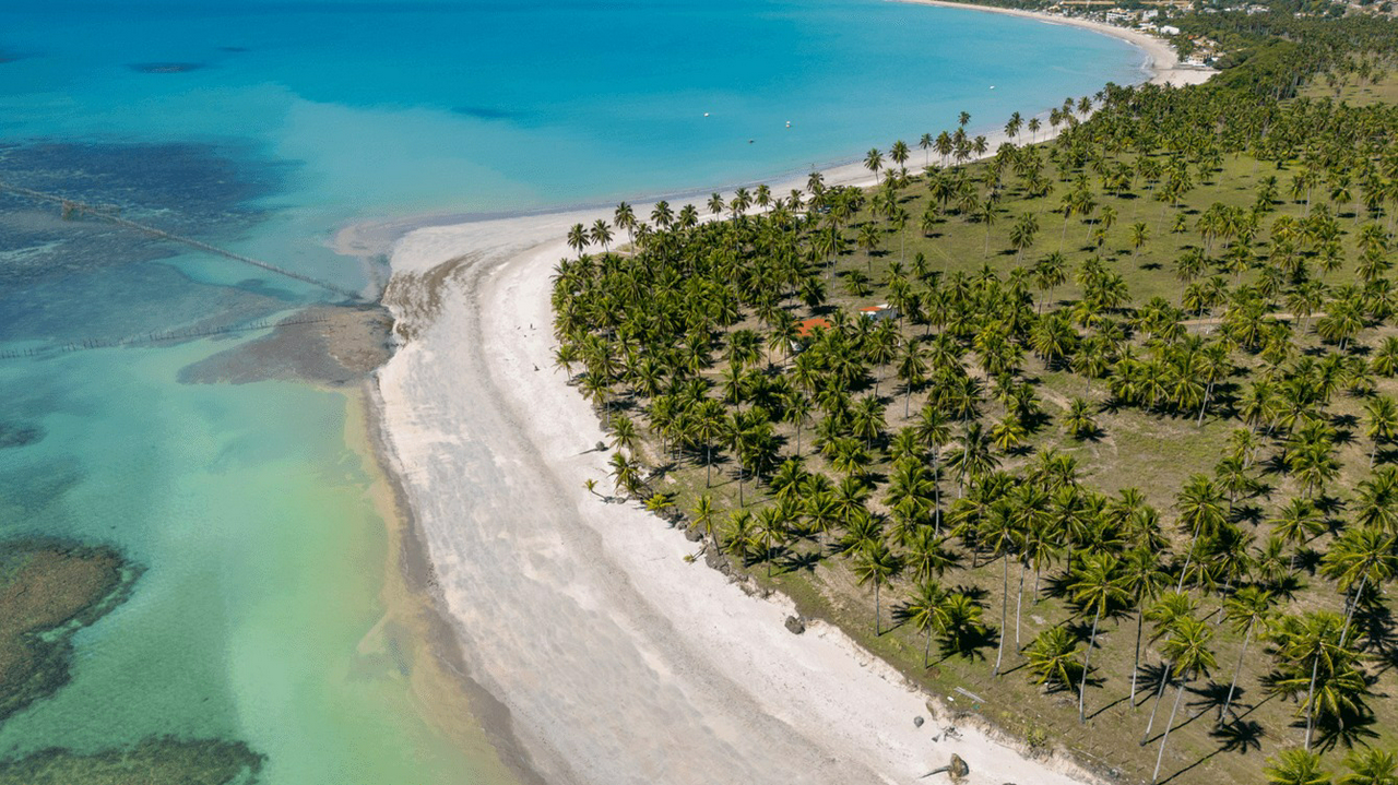 Maceió: Aproveite a Praia de Ipioca - Photo 5