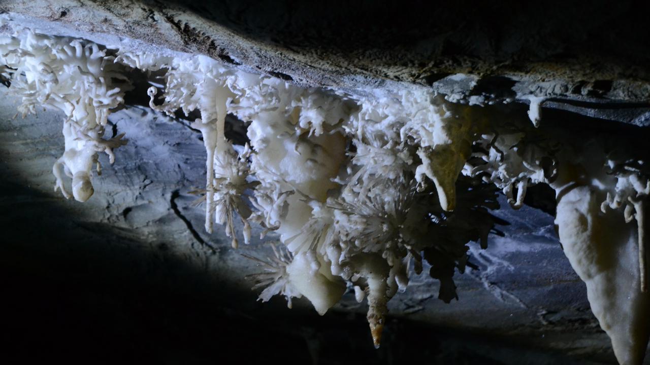 Excursion to the Devil's Well, Torrinha Cave and Pai Inácio Hill. - Photo 5