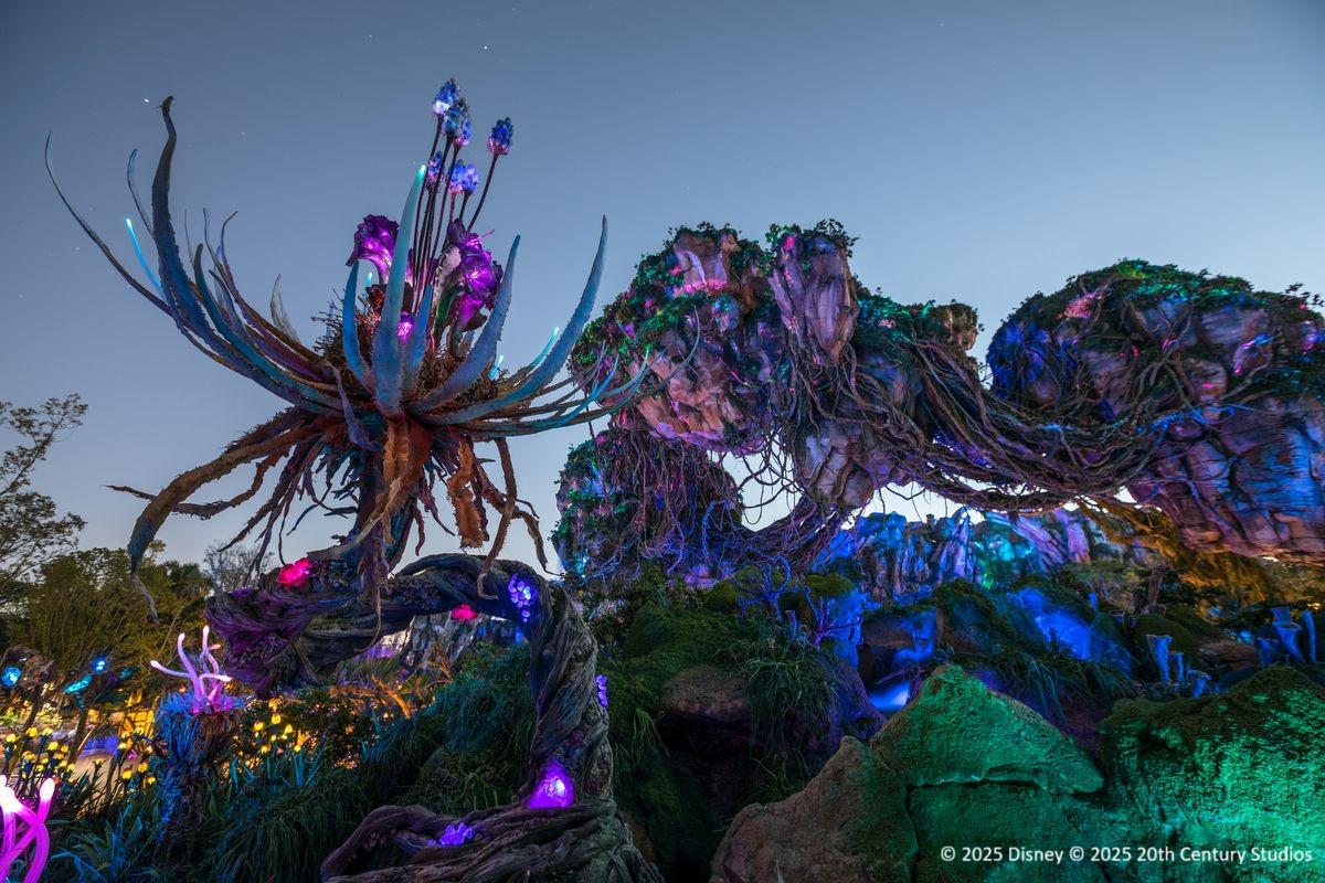Bilhete Mágico para 4 Parques da Walt Disney World - Photo 13